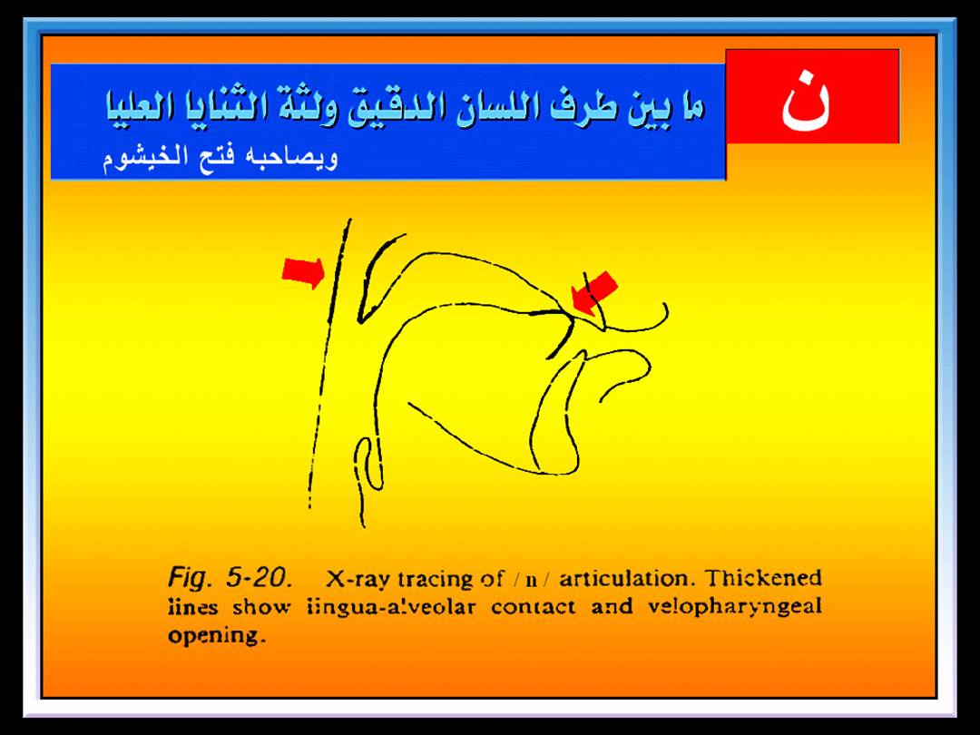 تجويد الحرف - مخارج الحروف